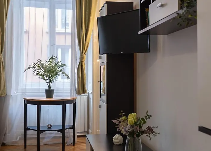 Apartament Raday Corner